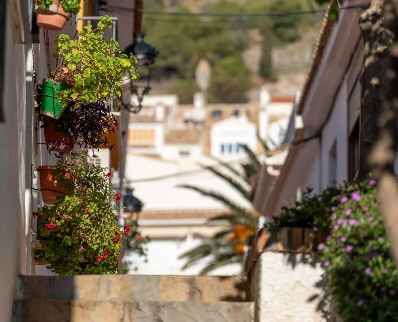 I Am La Posada Hotel And Apartment Benalmadena Spain