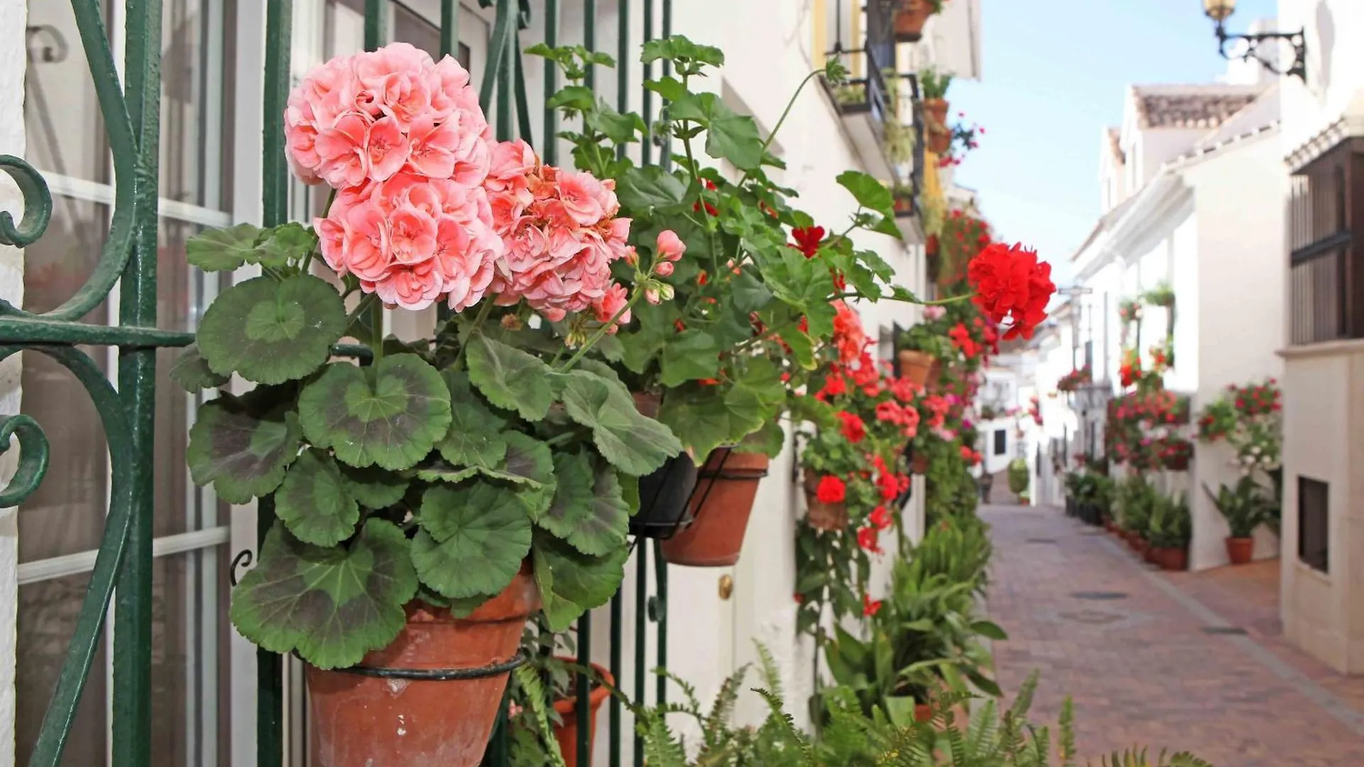Bed & Breakfast I Am La Posada Hotel And Apartment Benalmadena