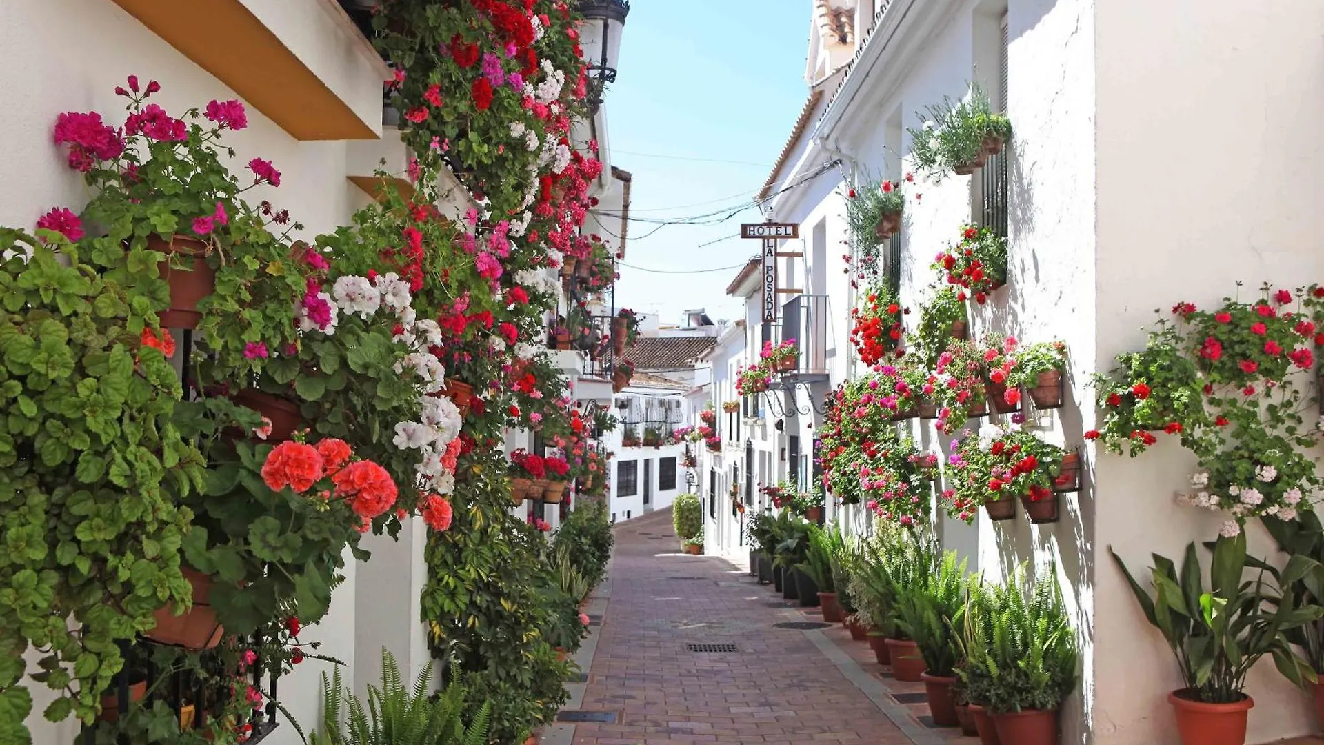 I Am La Posada Hotel And Apartment contacts